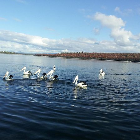 Pelican Point Sanctuary St Helens Extérieur photo