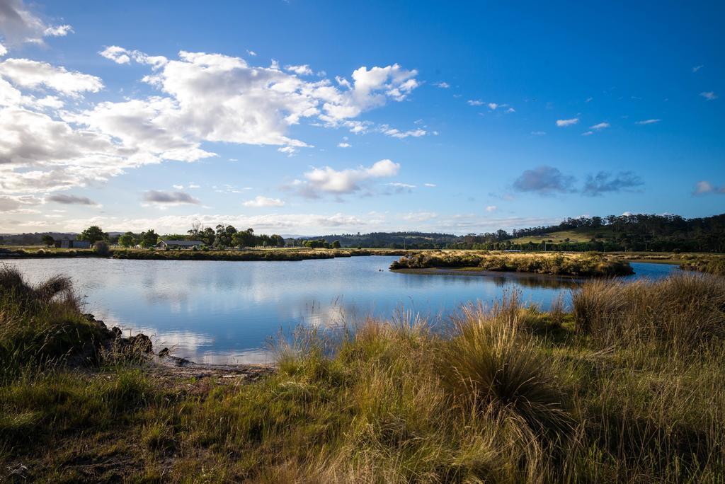 Pelican Point Sanctuary St Helens Extérieur photo